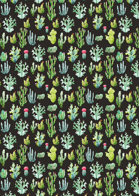 Cactus pour intérieur et fenêtre