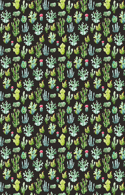 Cactus pour intérieur et fenêtre