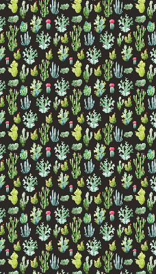 Cactus pour intérieur et fenêtre