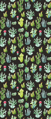 Cactus pour intérieur et fenêtre