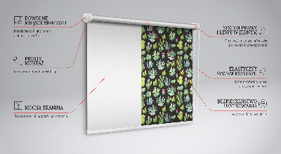Cactus pour intérieur et fenêtre