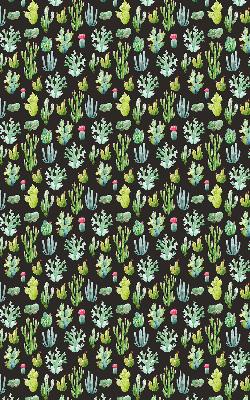 Cactus pour intérieur et fenêtre