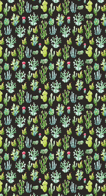 Cactus pour intérieur et fenêtre