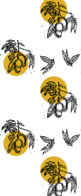 Store intérieur avec fruits et cercles jaunes