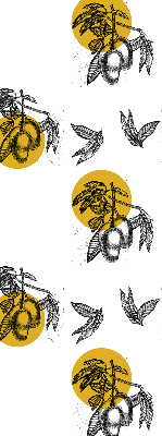 Store intérieur avec fruits et cercles jaunes