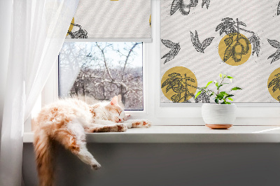 Store intérieur avec fruits et cercles jaunes
