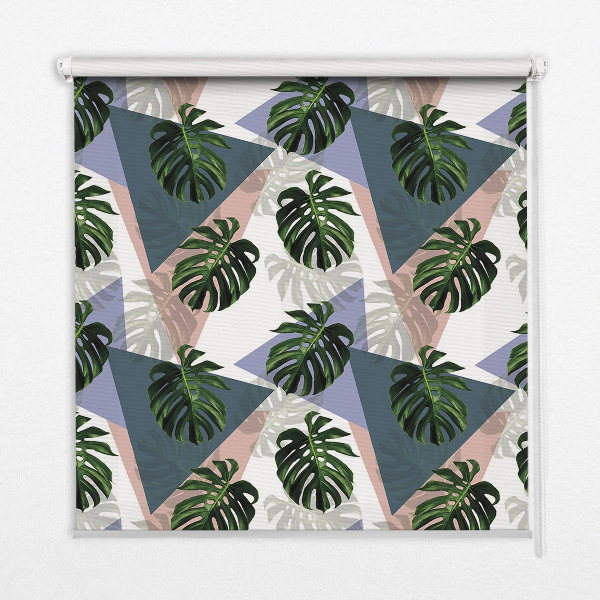 Store intérieur de la plante en feuilles