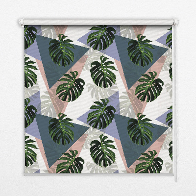 Store intérieur de la plante en feuilles