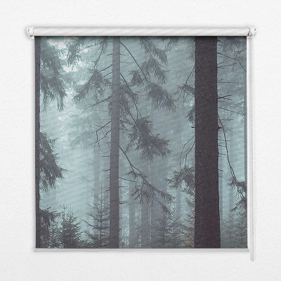 Store intérieur fenêtre la forêt la nuit