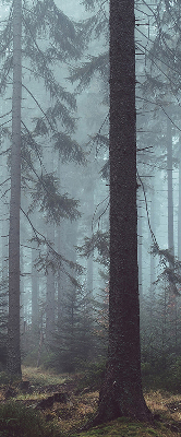 Store intérieur fenêtre la forêt la nuit