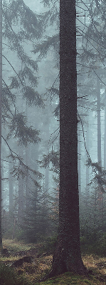 Store intérieur fenêtre la forêt la nuit