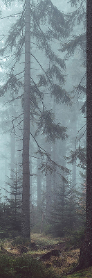 Store intérieur fenêtre la forêt la nuit