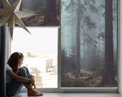 Store intérieur fenêtre la forêt la nuit