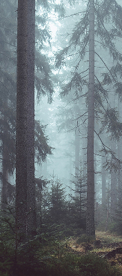 Store intérieur fenêtre la forêt la nuit
