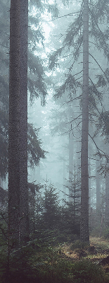Store intérieur fenêtre la forêt la nuit