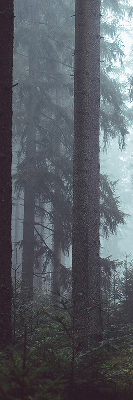 Store intérieur fenêtre la forêt la nuit