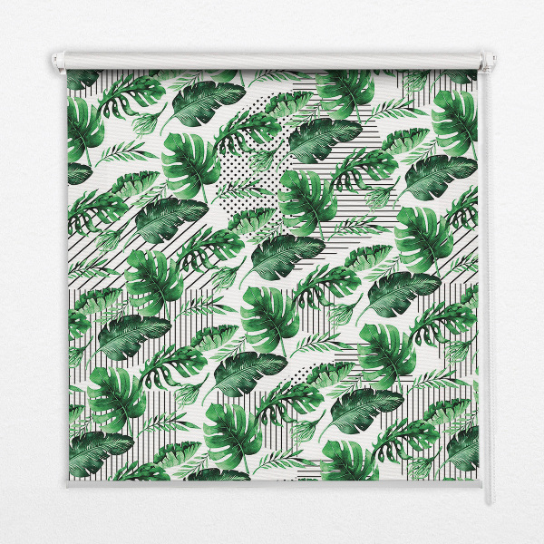 Store intérieur fenêtre avec feuilles tropicales