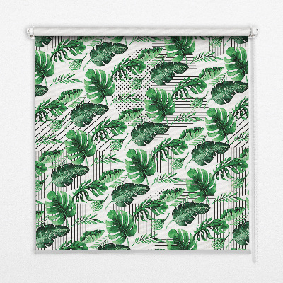 Store intérieur fenêtre avec feuilles tropicales