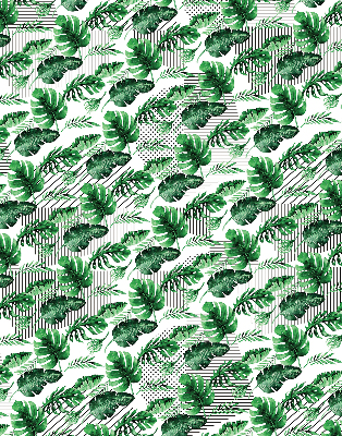 Store intérieur fenêtre avec feuilles tropicales