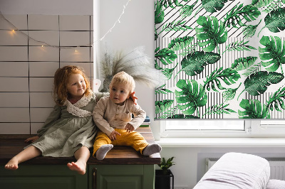 Store intérieur fenêtre avec feuilles tropicales