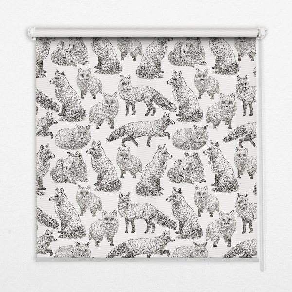 Store intérieur fenêtre avec renards gris