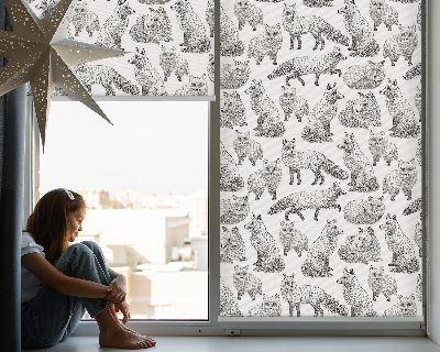 Store intérieur fenêtre avec renards gris