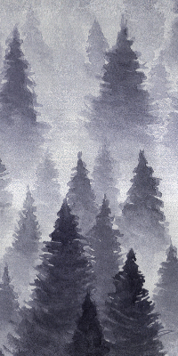 Store enrouleur en couleur Forêt brumeuse