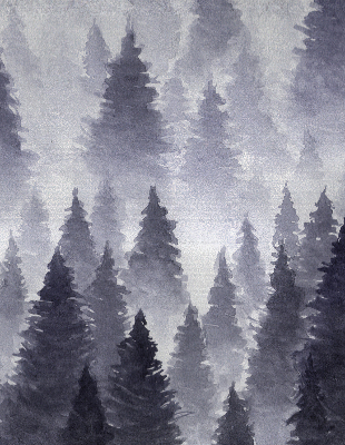 Store enrouleur en couleur Forêt brumeuse