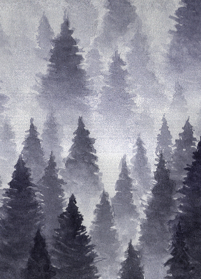 Store enrouleur en couleur Forêt brumeuse