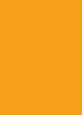 Store enrouleur orange foncé