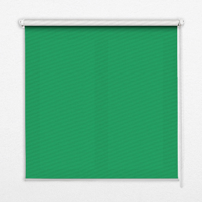 Store intérieur fenêtre vert