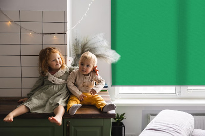 Store intérieur fenêtre vert