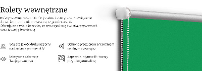 Store intérieur fenêtre vert