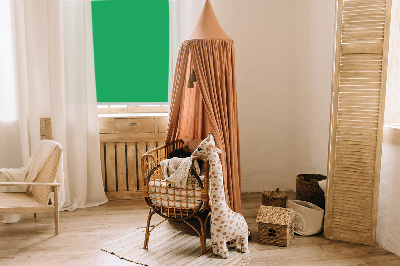 Store intérieur fenêtre vert