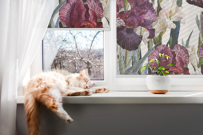 Store intérieur fenêtre avec petites fleurs