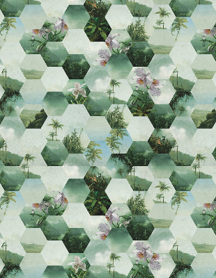 Store intérieur fenêtre à motifs d'hexagones verts