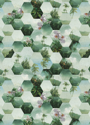 Store intérieur fenêtre à motifs d'hexagones verts