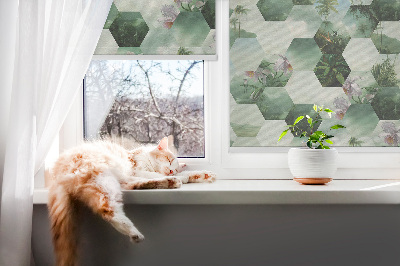 Store intérieur fenêtre à motifs d'hexagones verts