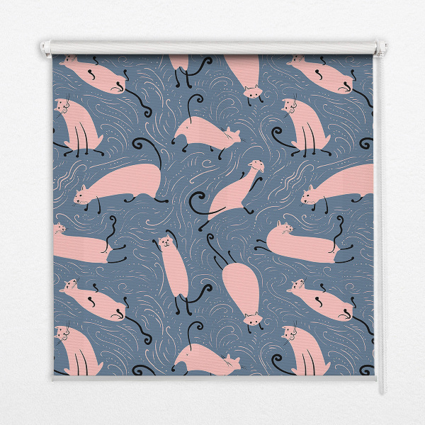 Chats roses pour intérieur