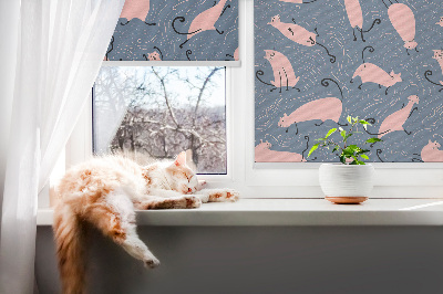Chats roses pour intérieur