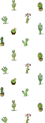 Cactus pour intérieur et fenêtre