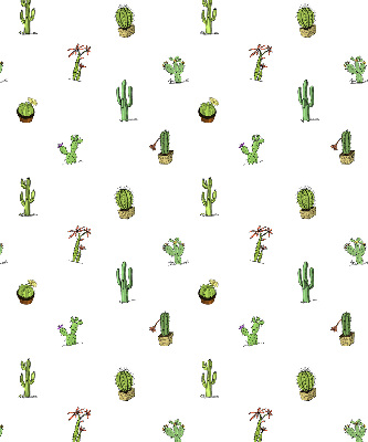 Cactus pour intérieur et fenêtre
