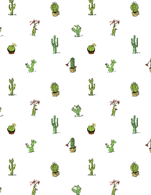 Cactus pour intérieur et fenêtre