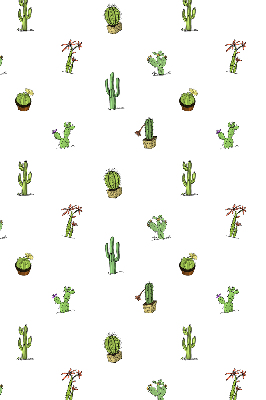 Cactus pour intérieur et fenêtre