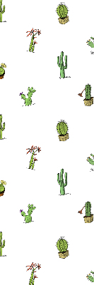 Cactus pour intérieur et fenêtre