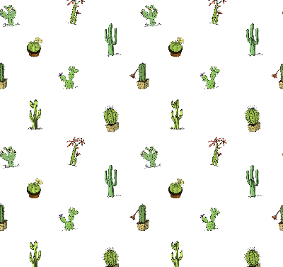 Cactus pour intérieur et fenêtre
