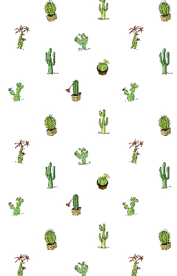 Cactus pour intérieur et fenêtre