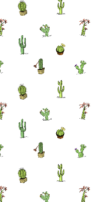 Cactus pour intérieur et fenêtre