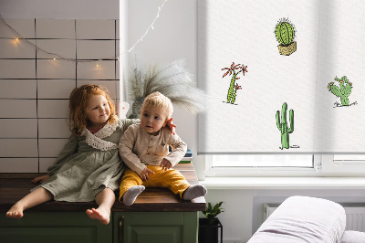 Cactus pour intérieur et fenêtre