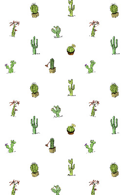 Cactus pour intérieur et fenêtre